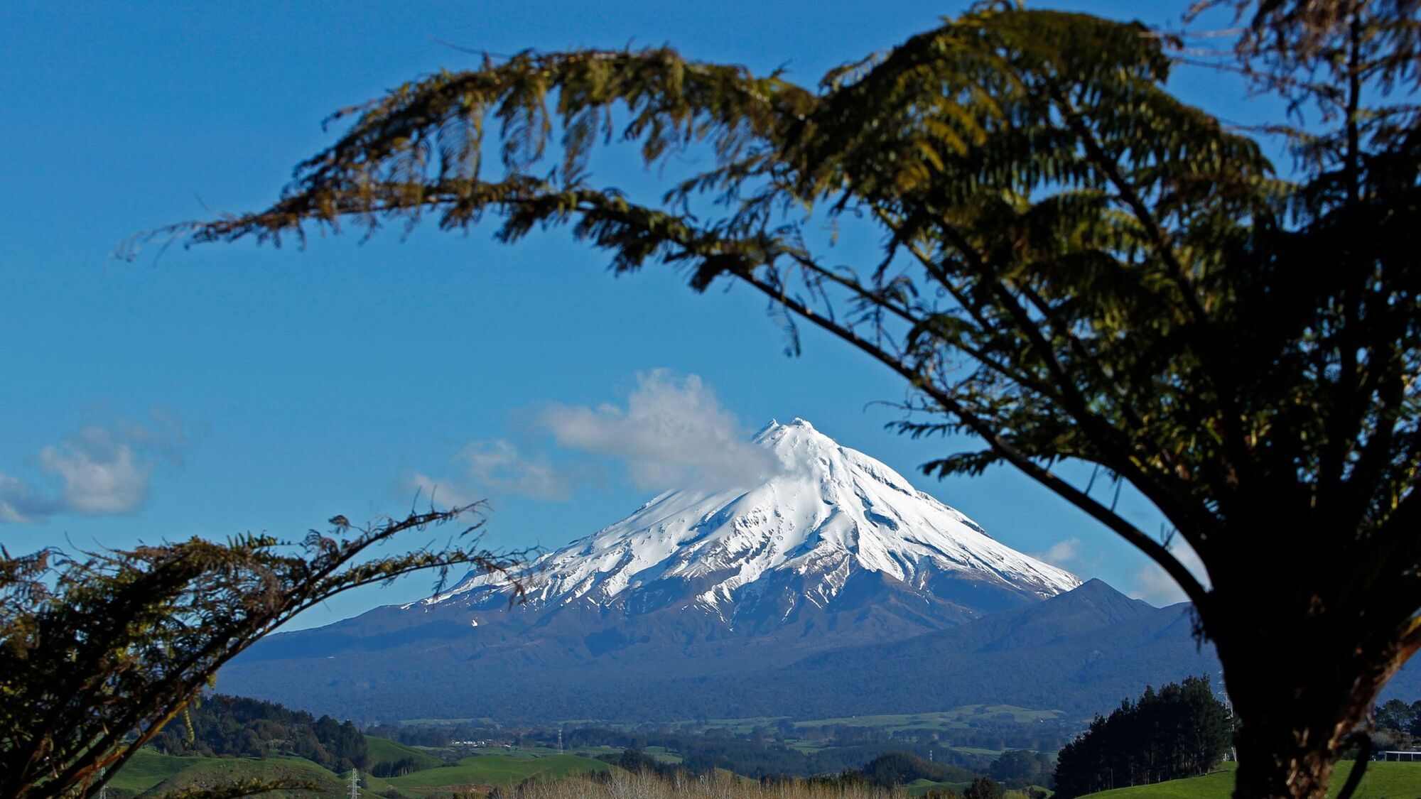 В Новой Зеландии альпинист упал с высоты в 600 метров и выжил: что произошло