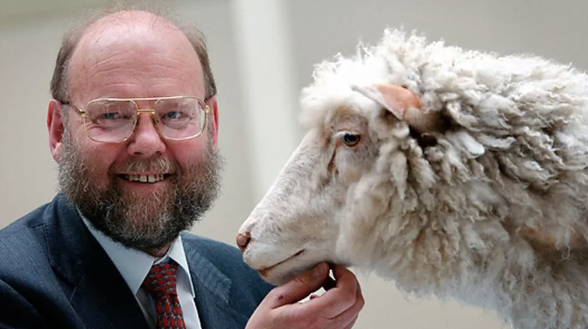 Помер британський вчений Іен Вілмут, творець клонованої вівці Доллі. Фото