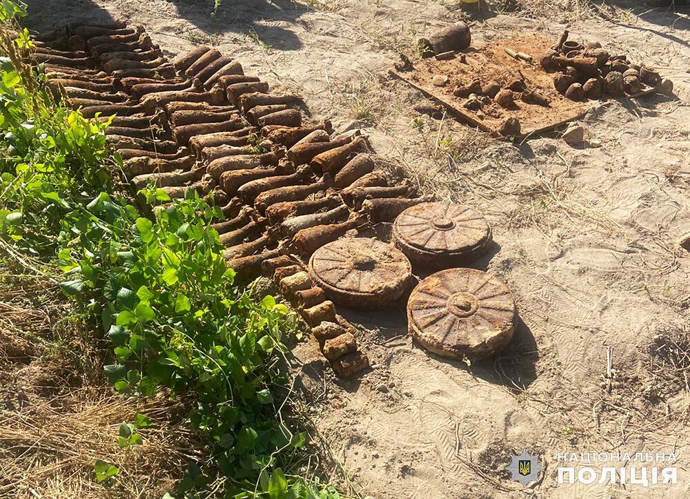 Копала картоплю: мешканка Житомира викопала на городі 85 мін та 8 гранат часів Другої світової. Фото