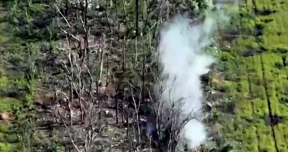 Дождались черных пакетов: украинские пограничники эффектно ударили по опорному пункту врага под Бахмутом. Видео
