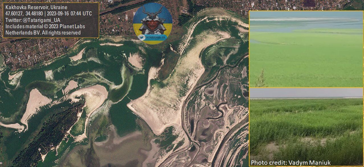 Утворився новий ландшафт: дно Каховського водосховища рясно вкрилося рослинами. Супутникові фото