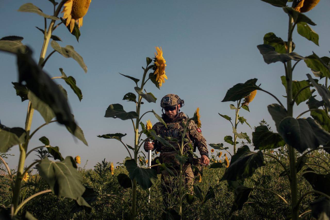 Воїн у полі соняшників