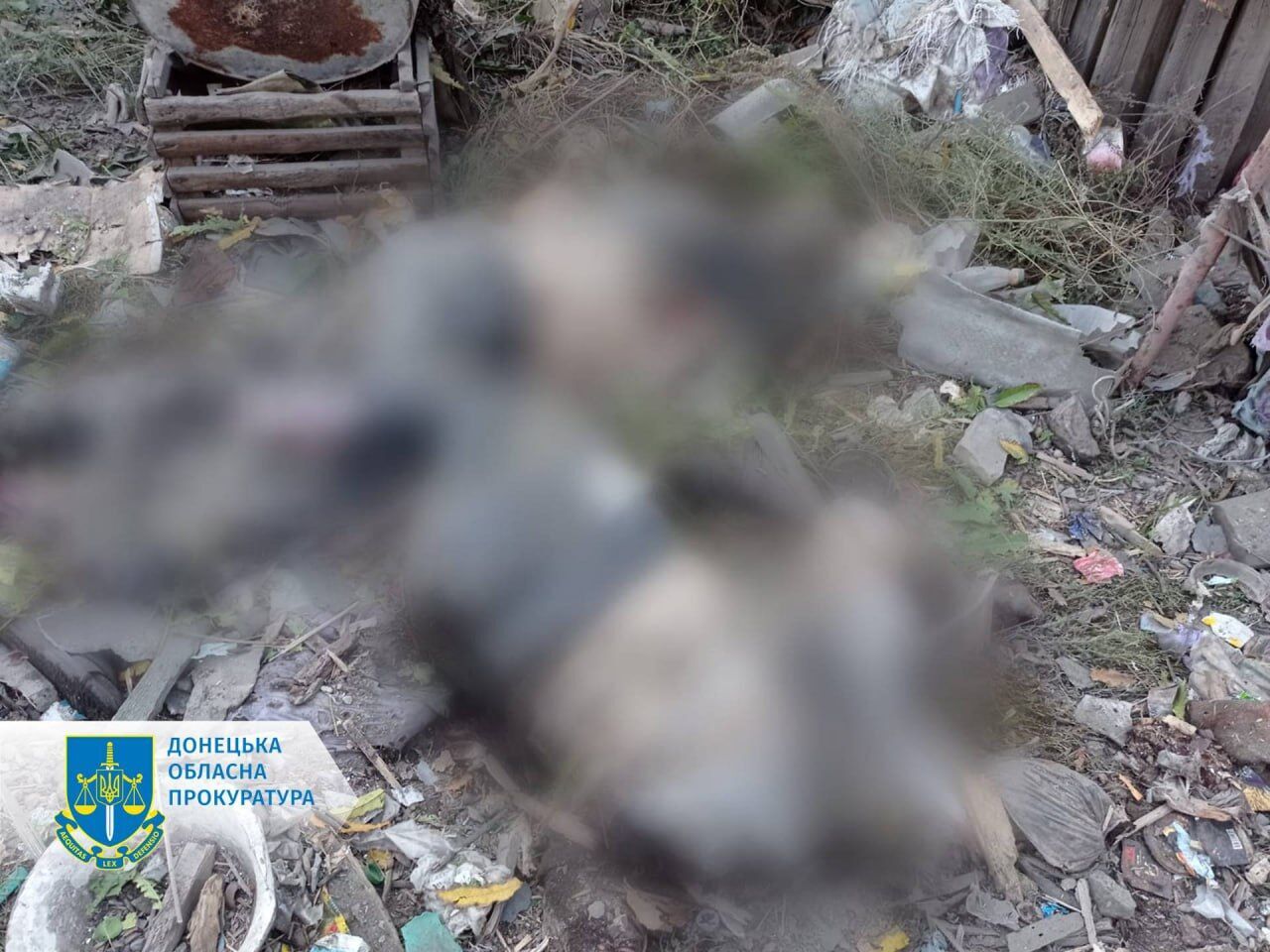 У Торецьку війська Росії із самохідного міномету "Тюльпан" убили чотирьох людей. Фото