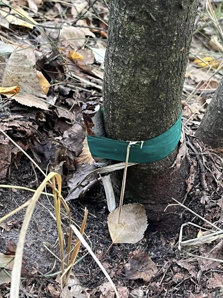На Київщині чоловік пішов у ліс і замість грибів знайшов розтяжку. Фото