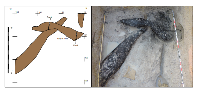 Археологи обнаружили деревянный "крест", которому 476 000 лет: он старше современных людей