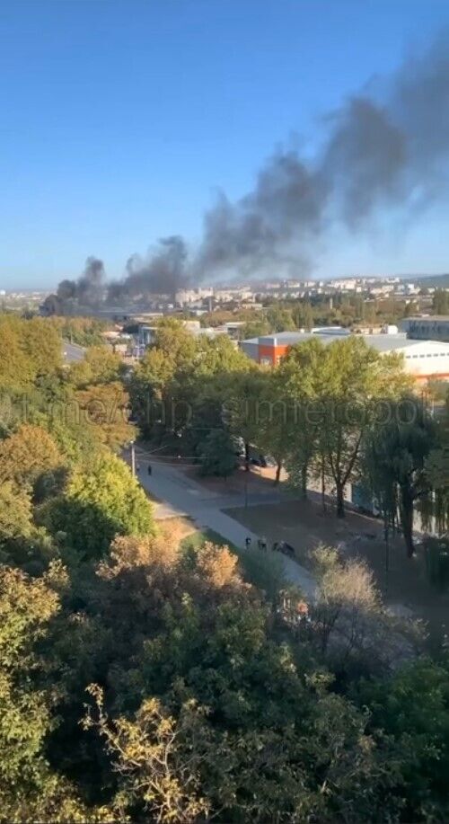 У Севастополі під час повітряної тривоги і "загрози ATACMS" несподівано "спалахнула трава". Фото