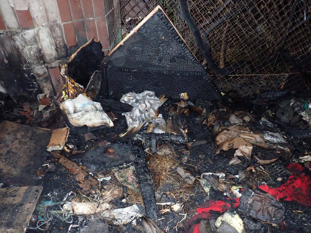 Полиция Киева открыла уголовное производство по факту пожара в приюте "Котобаза". Фото