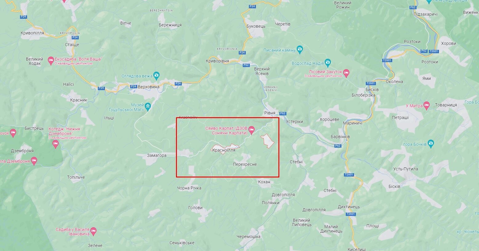 Пожар в комплексе "Сияние Карпат": в КГВА рассказали о состоянии 148 детей из столицы, отдыхавших на Прикарпатье. Фото