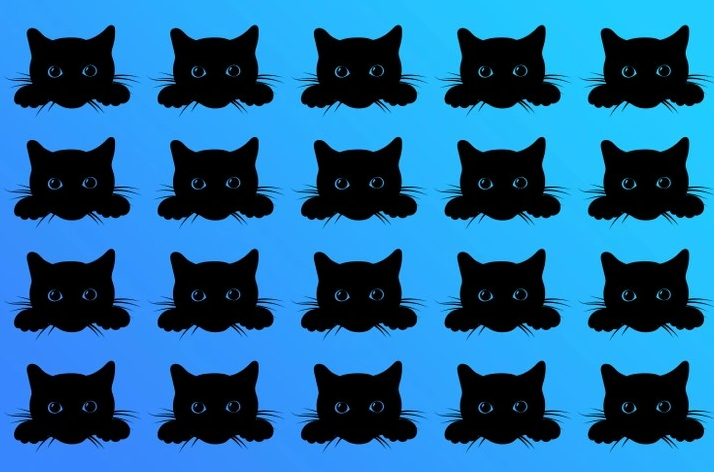 Найдите странного черного кота: только самые умные увидят разницу за 15 секунд