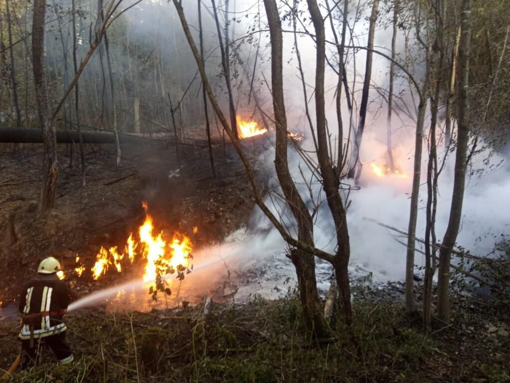 В Прикарпатье произошел пожар на нефтепроводе: пострадали люди. Фото и видео