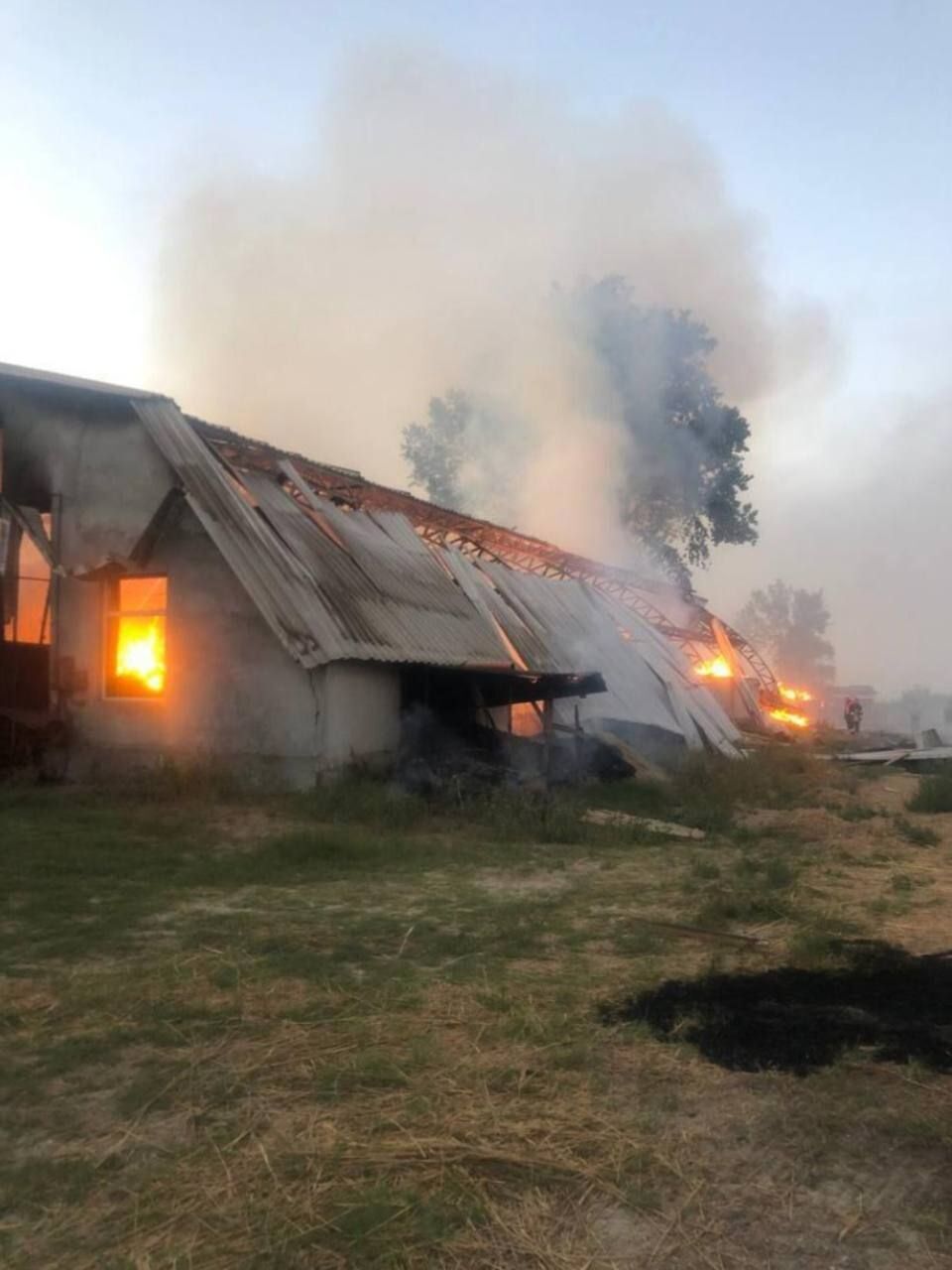Оккупанты атаковали Одесщину ударными БПЛА: повреждены здания и сельхозтехника. Фото