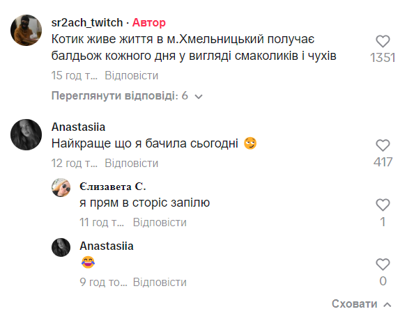 У оккупантов потерь на 3 млн долларов: спасенный при подрыве Каховской ГЭС котёнок "отомстил" оккупантам