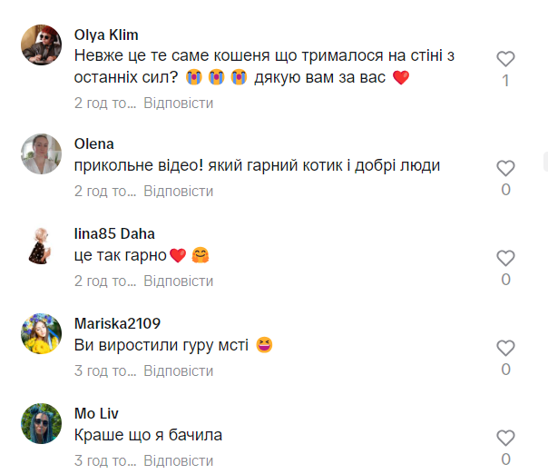 В окупантів втрат на 3 млн доларів: врятоване під час підриву Каховської ГЕС кошеня "помстилося" окупантам