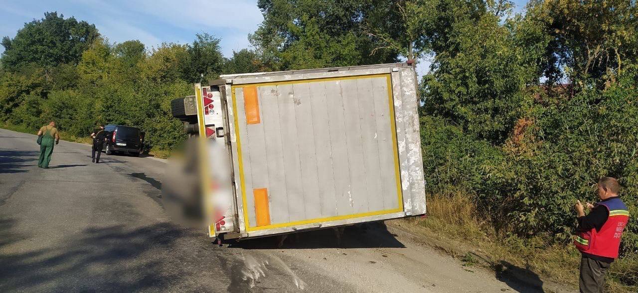 В Киевской области грузовик, перевозивший животных, перевернулся на легковушку: есть погибший. Фото и видео