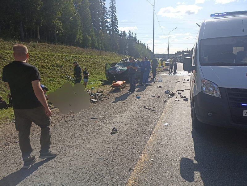 У Росії КамАЗ врізався у колону велосипедистів, вбивши спортсменів. Фото і відео