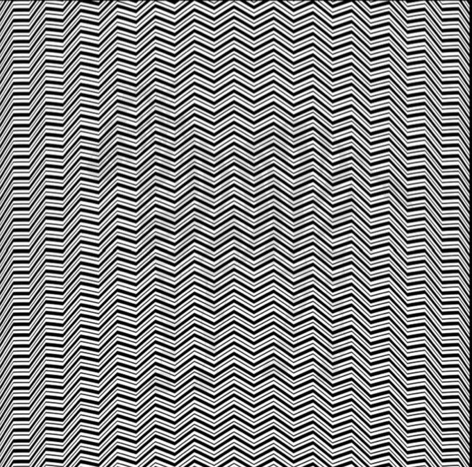 Оптична ілюзія, яку розгадають одиниці: яка тварина захована на картинці
