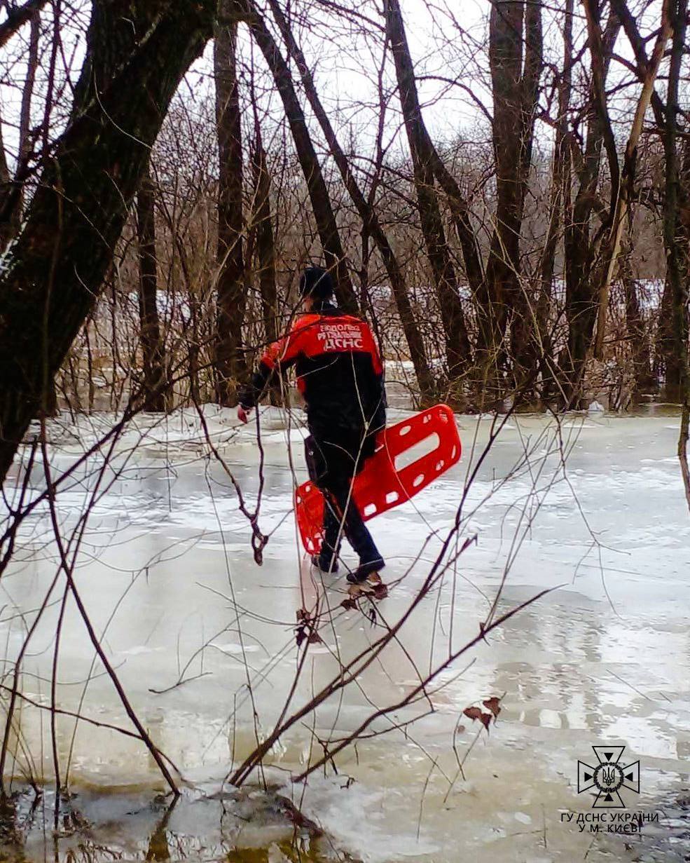 Щоб не потонути, заліз на дерево: у Києві водолази врятували чоловіка з крижаної пастки. Фото