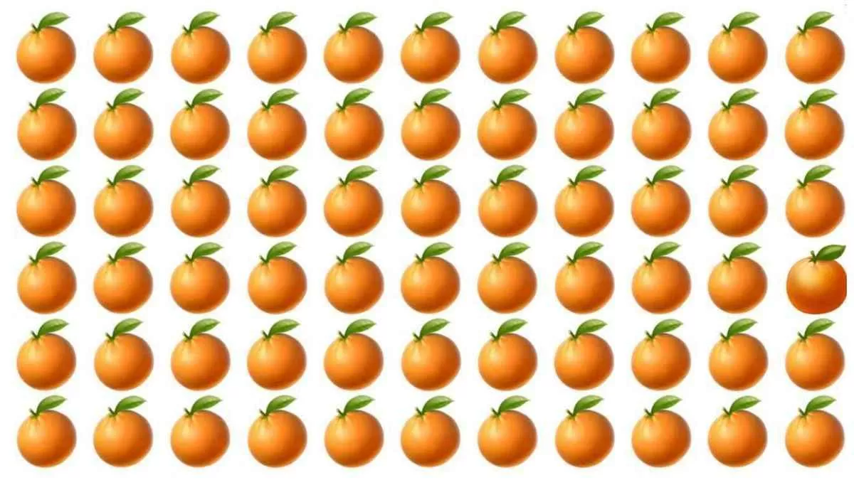 Який апельсин відрізняється: головоломка, що під силу лише людям із "рентгенівським" зором