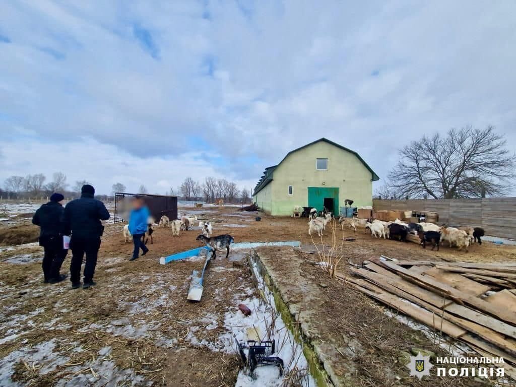 Содержали в ужасных условиях: полиция открыла производство из-за издевательств над животными в приюте на Киевщине. Фото