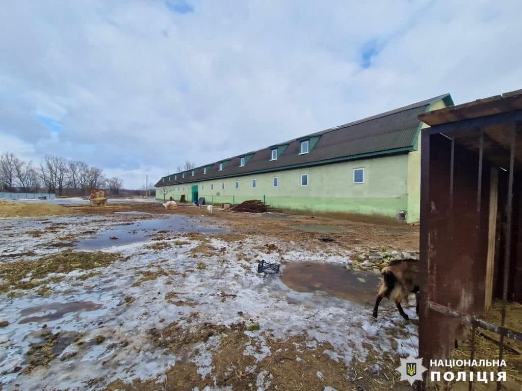 Содержали в ужасных условиях: полиция открыла производство из-за издевательств над животными в приюте на Киевщине. Фото