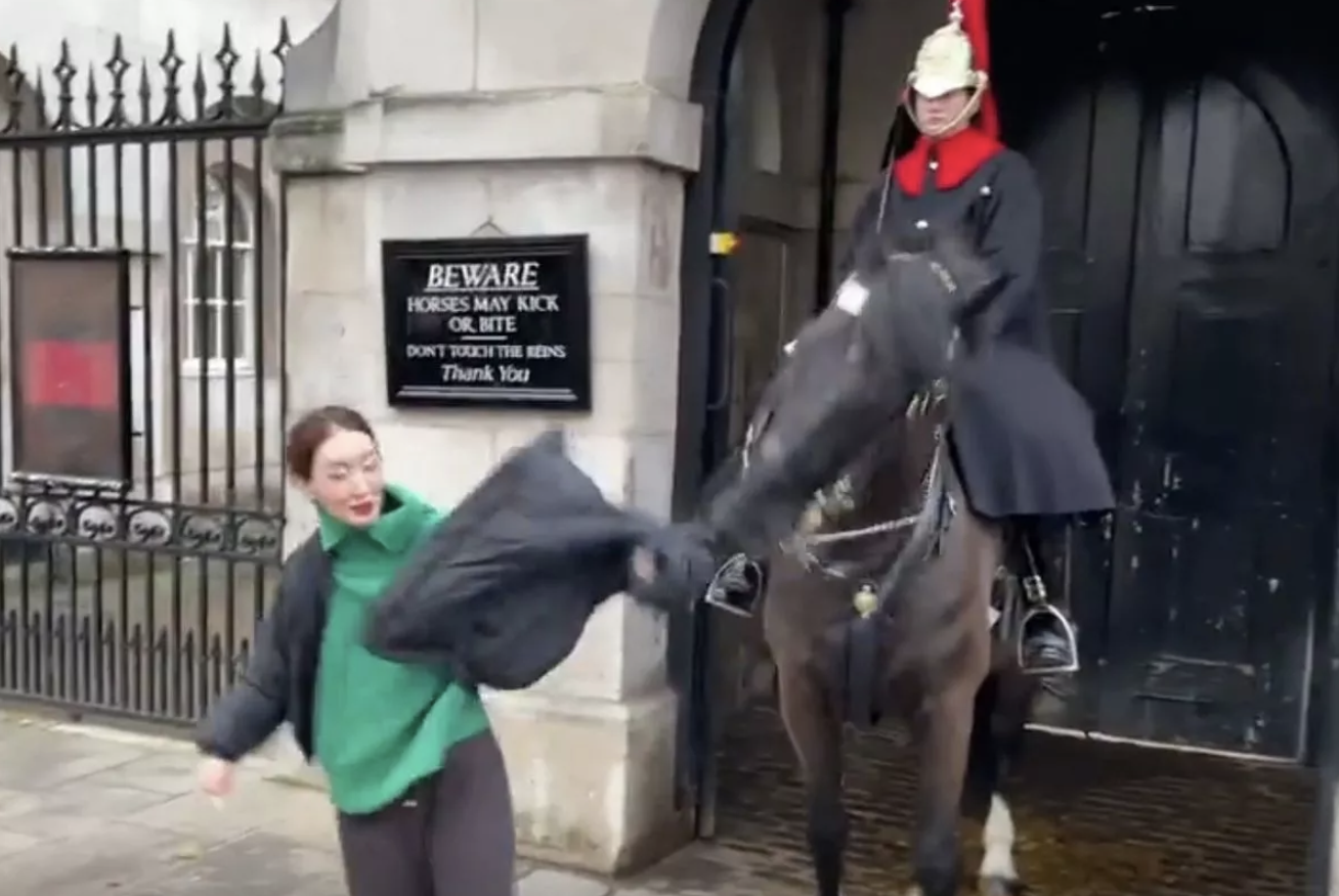 В Лондоне конь королевской гвардии укусил и сорвал пальто туристки, когда она позировала для фотографии на фоне символической таблички