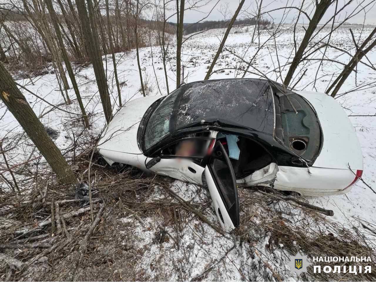 На Киевщине легковушка на скорости съехала в кювет и врезалась в дерево: есть пострадавшая. Фото