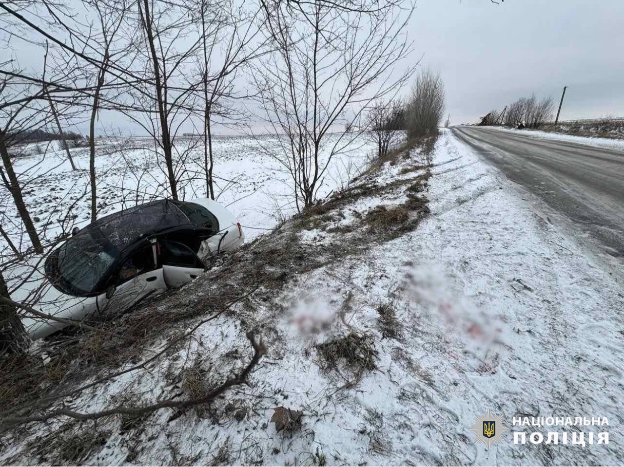 На Київщині легковик на швидкості з’їхав у кювет та врізався в дерево: є постраждала. Фото