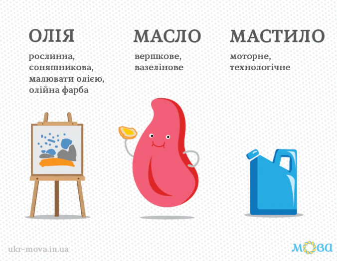 Масло, мастило і олія: чим відрізняються схожі українські слова