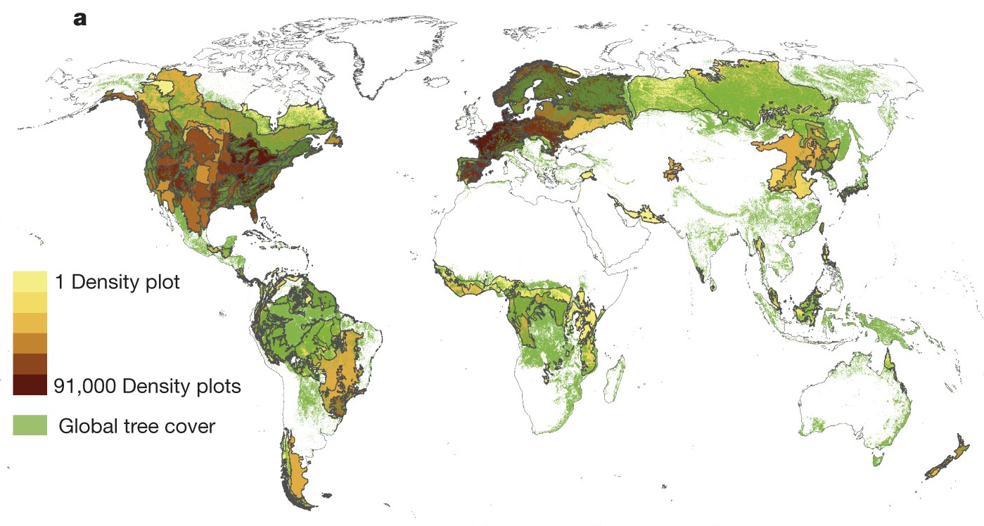 Карта распространения деревьев на Земле.