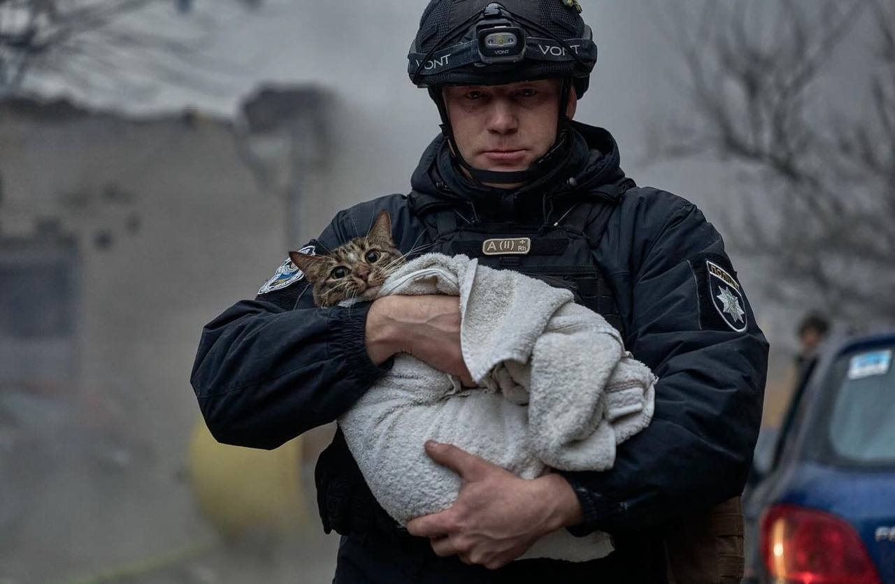 "Схватил, обнял и спустился вниз": полицейский со спасенным в Киеве котом растрогал соцсети. Фото и видео