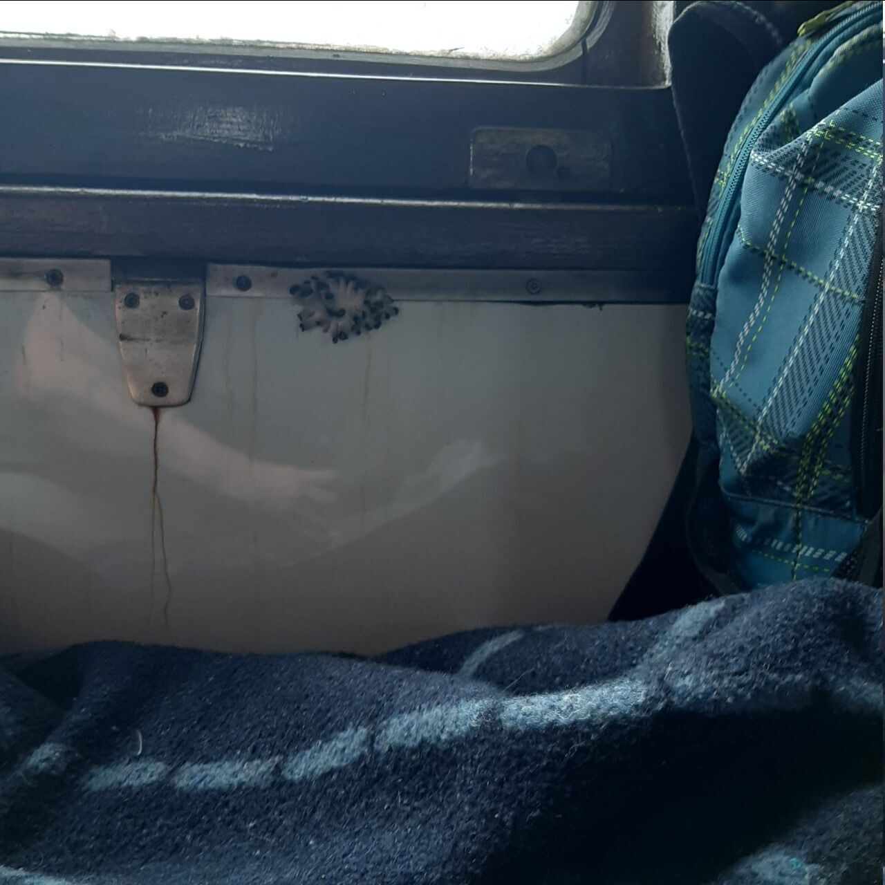 "Бонус к поездке?" Сеть взбудоражили фото грибов, выросших прямо в поезде УЗ. Фото