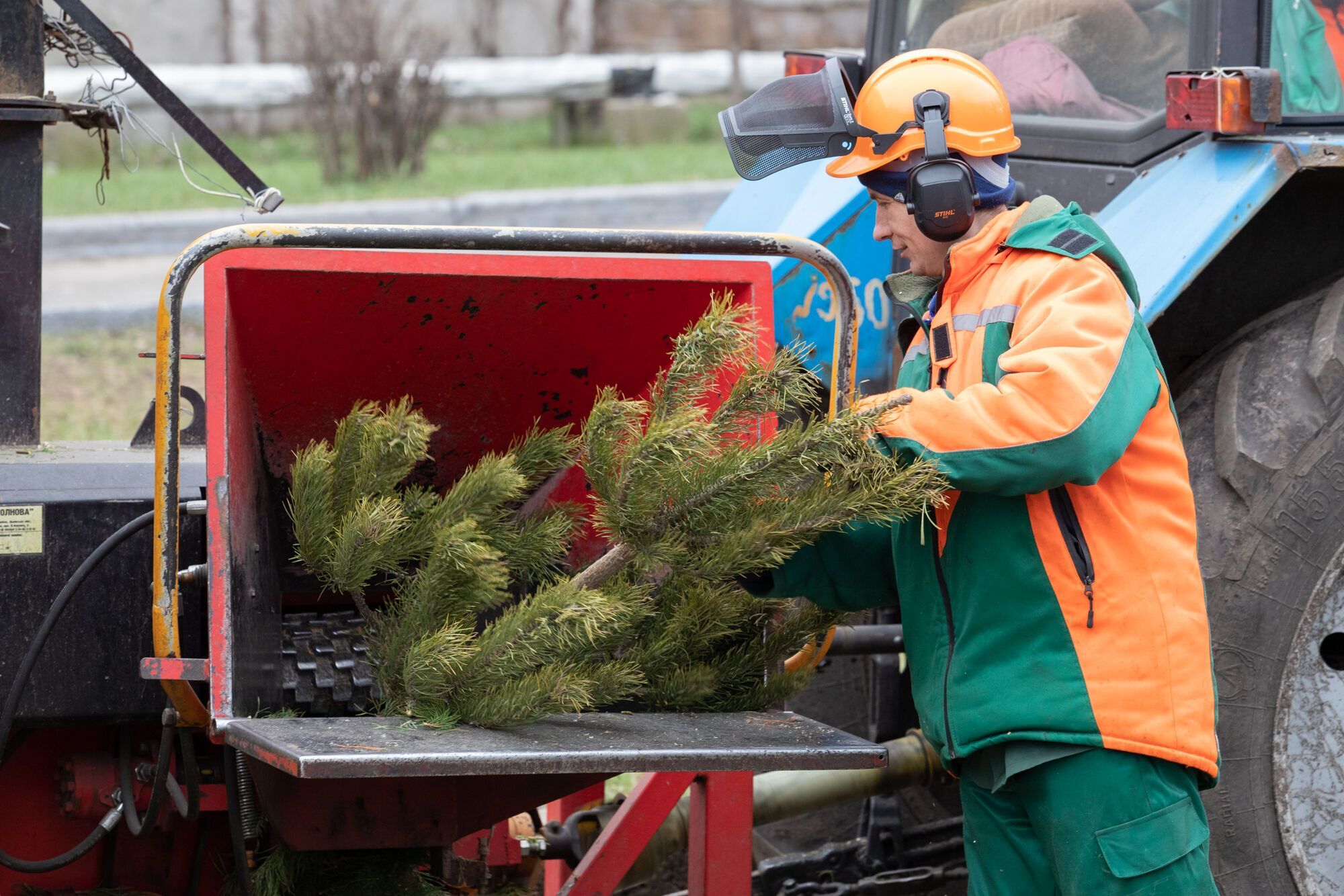 В Киеве начали работать пункты утилизации елок: где можно сдать дерево