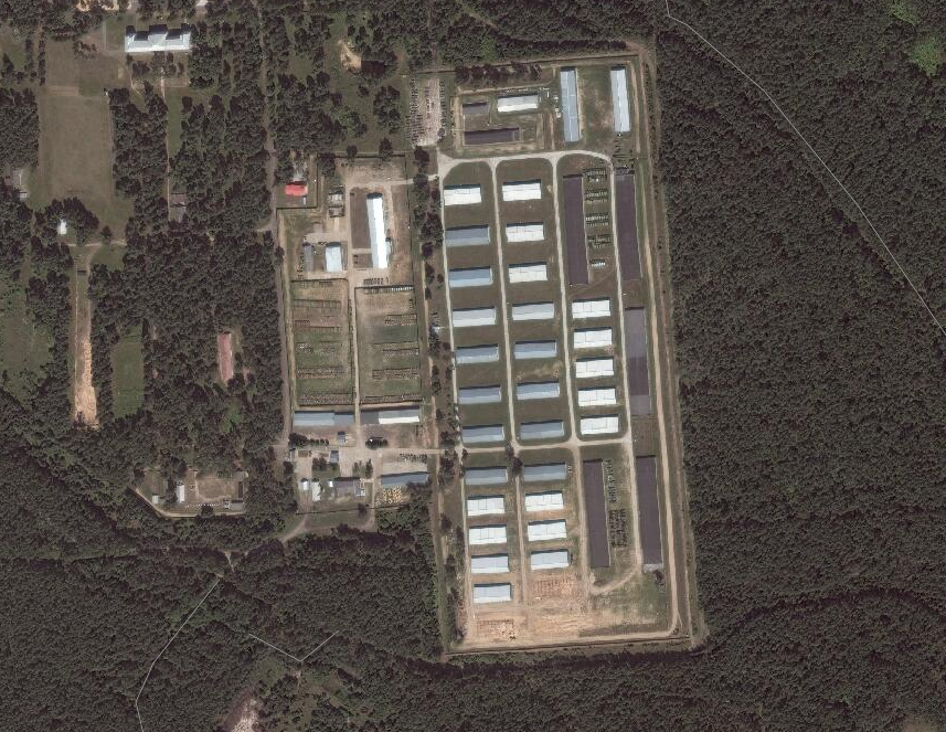 В Беларуси открыты тылы: где размещены базы с военным арсеналом для РФ