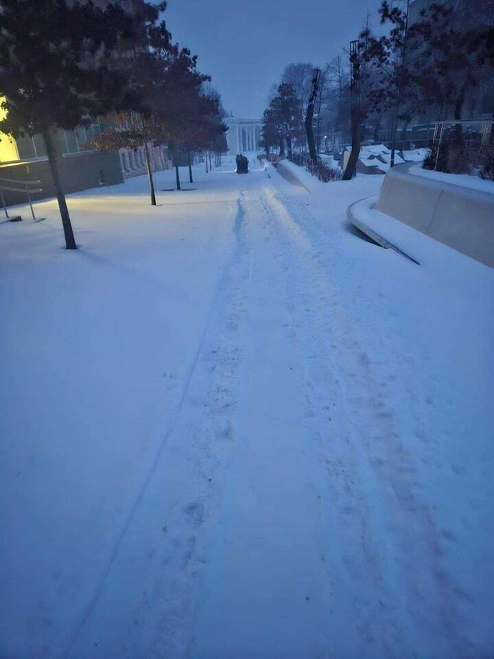 Дороги засыпало снегом, а ветер оборвал провода: в Украине бушует мощная непогода, есть проблемы с движением транспорта. Фото и видео