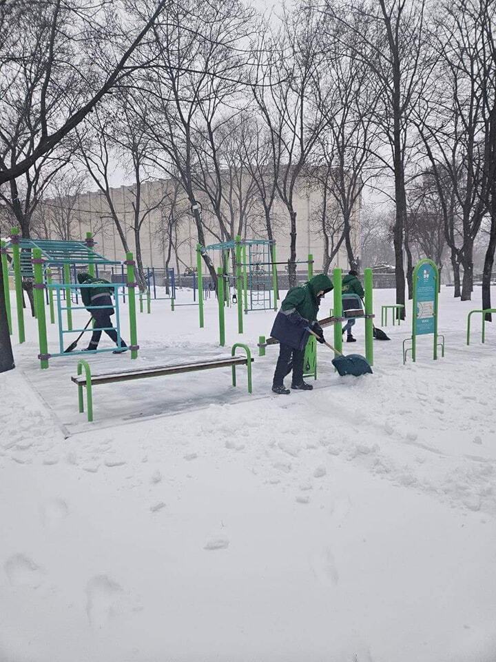 Дороги засыпало снегом, а ветер оборвал провода: в Украине бушует мощная непогода, есть проблемы с движением транспорта. Фото и видео