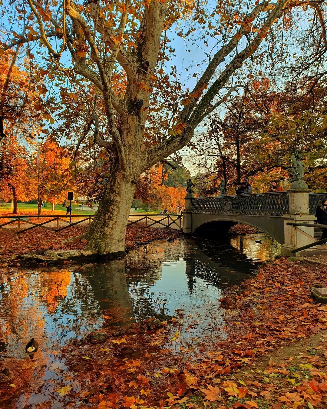 Вікенд у столиці моди та краси: що відвідати в Мілані восени 2024 року