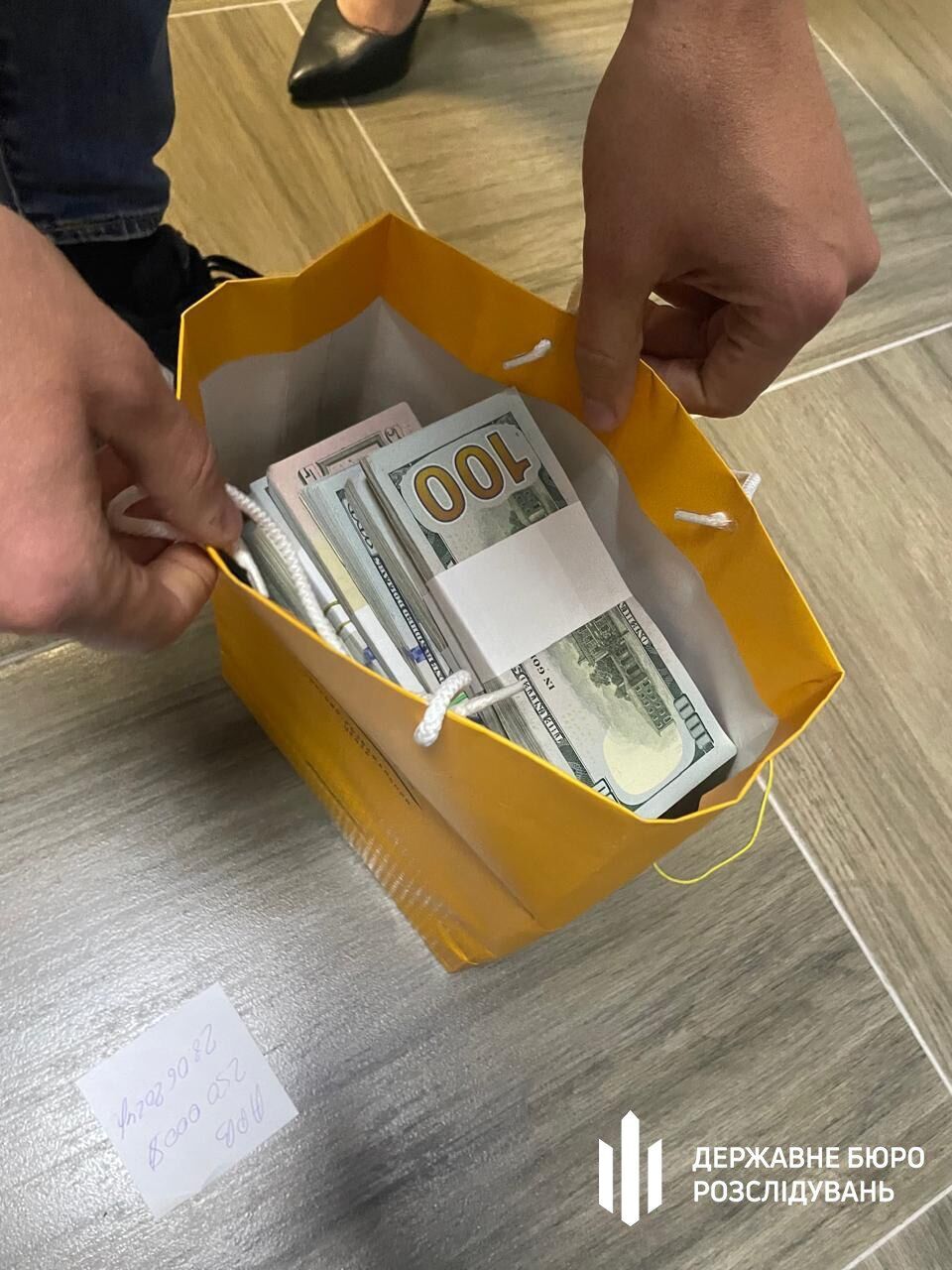 Депутатці з Хмельницького, у якої знайшли понад 1,5 млн доларів, обрали запобіжний захід: деталі справи