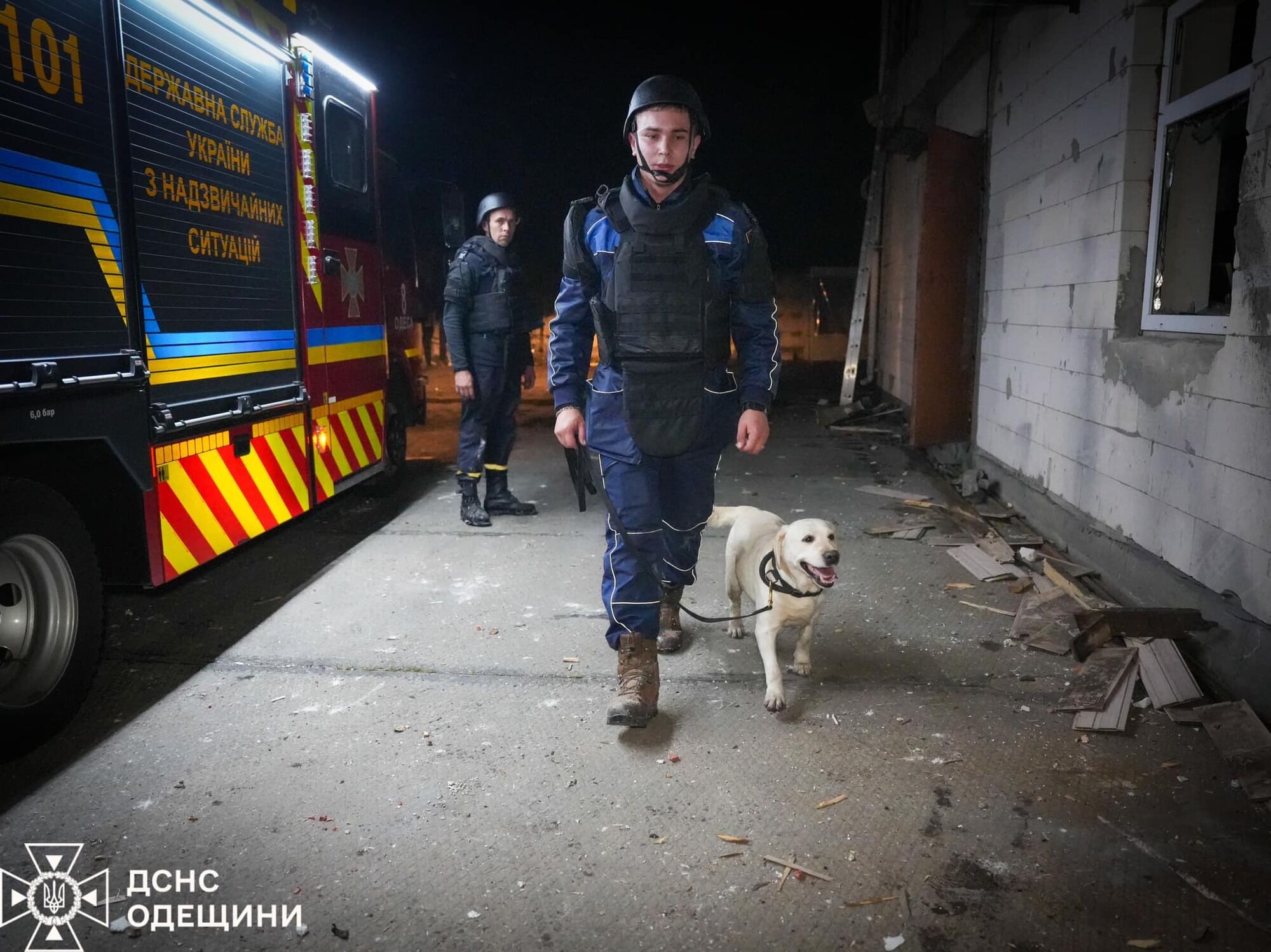 Рятувальник зі службовим псом