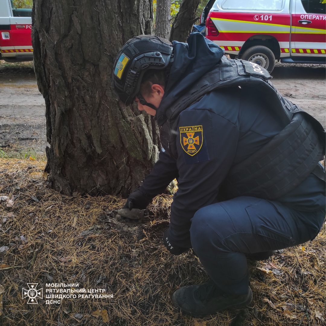 В Киевской области мужчина во время сбора грибов нашел кассетную авиабомбу. Подробности и фото