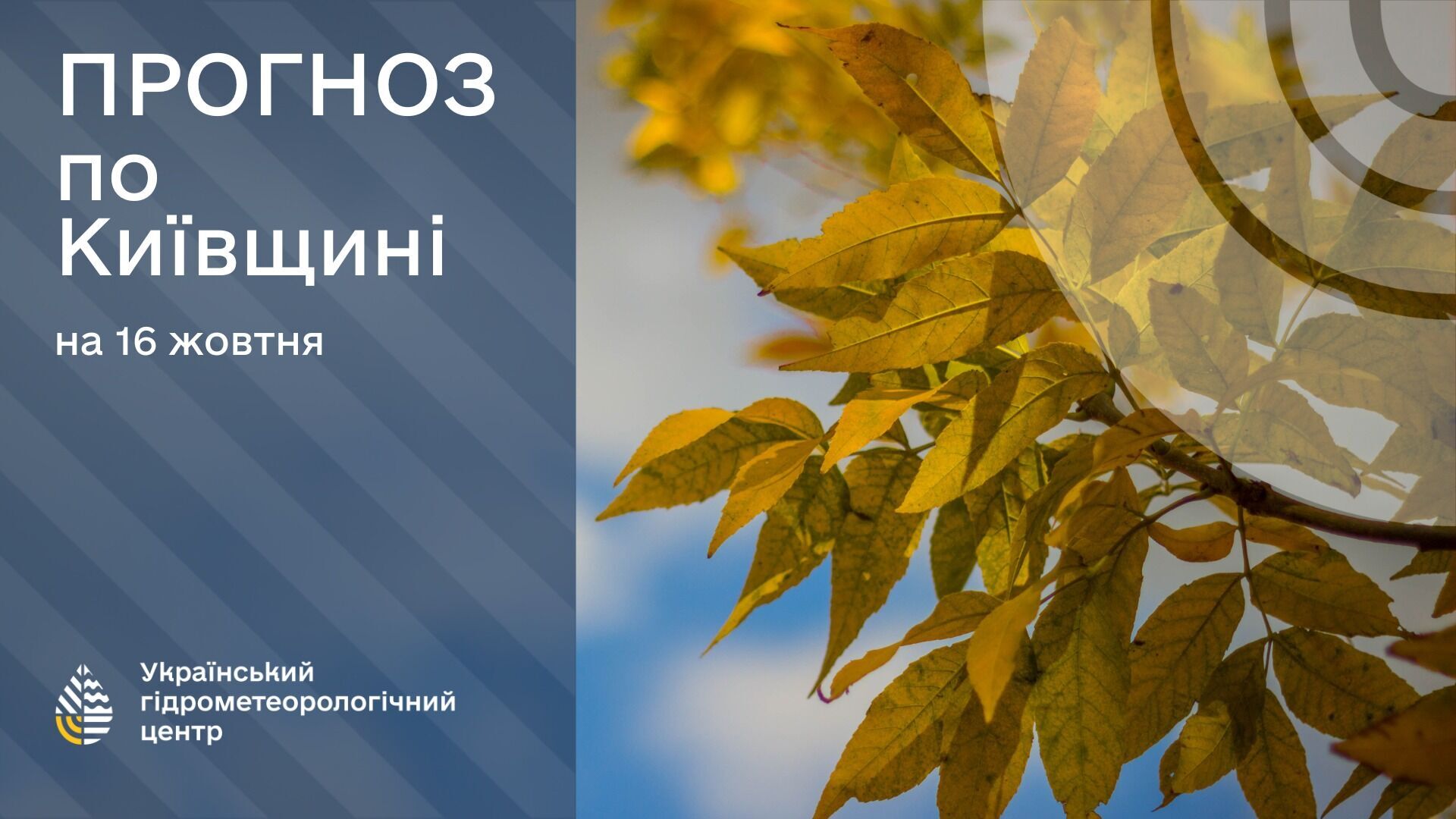 Очікуються заморозки й помірний дощ: синоптики уточнили прогноз погоди на середу, 16 жовтня