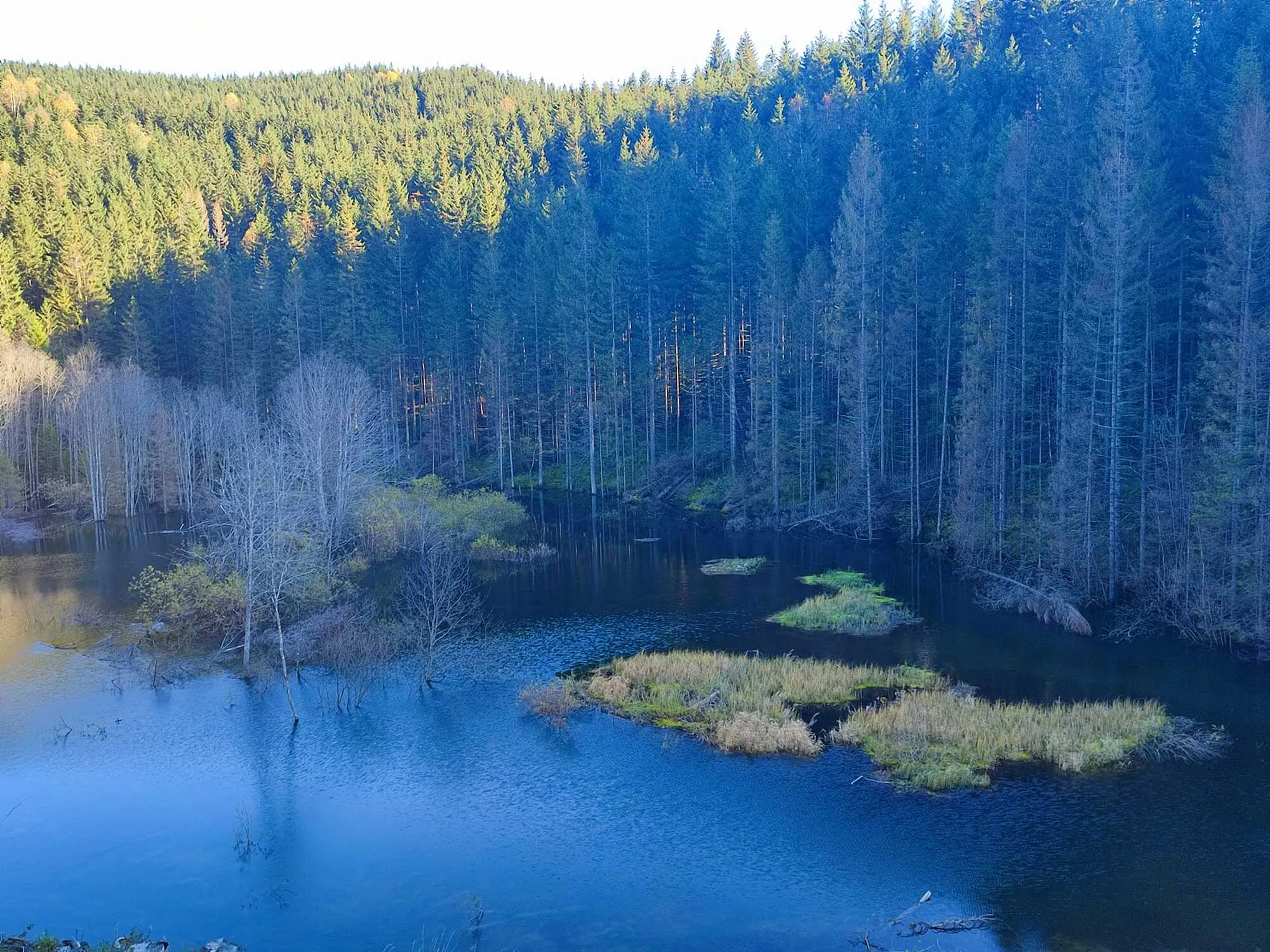 В Карпатах из-за вырубки леса возникло искусственное озеро. Фото и видео