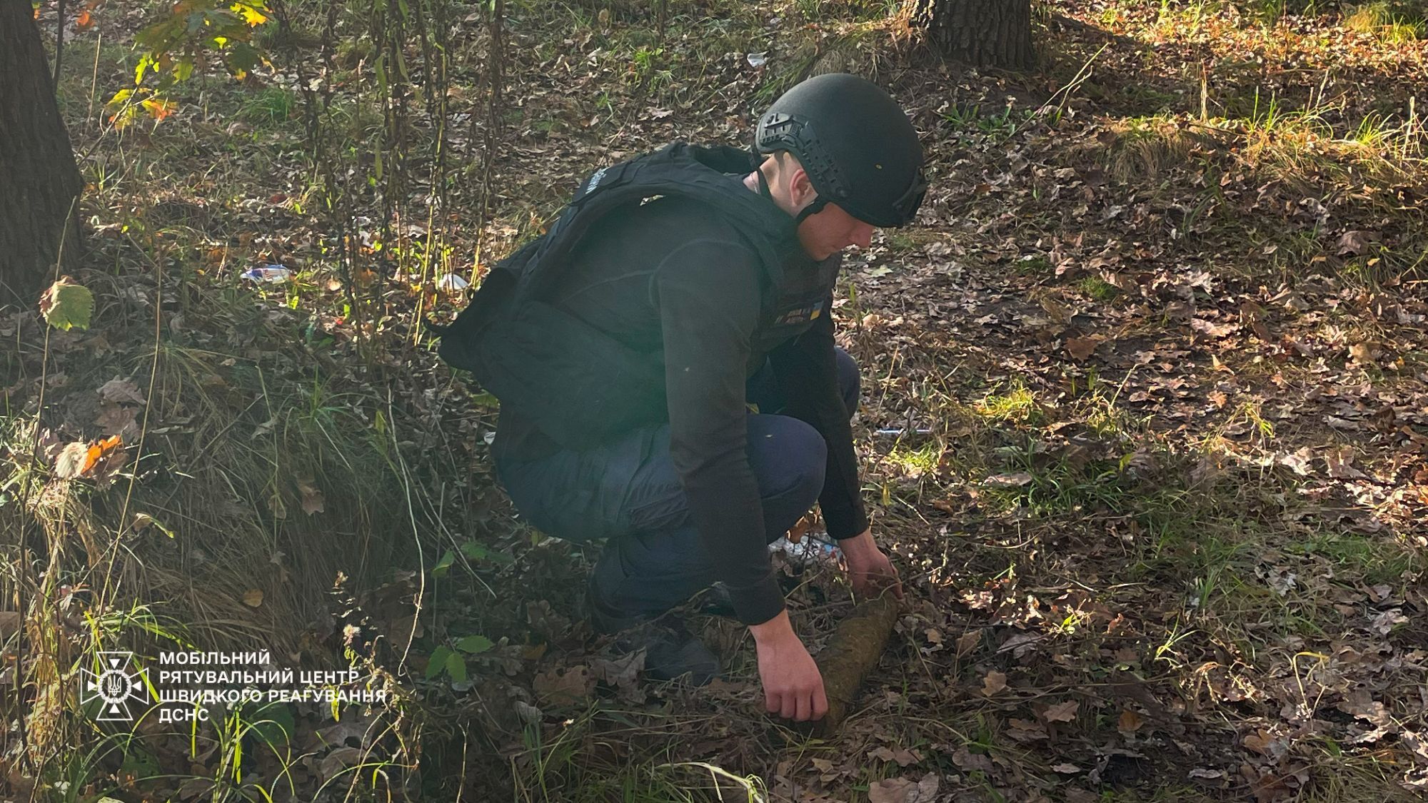 Під Києвом чоловік під час прогулянки в лісі знайшов вибухонебезпечний предмет. Фото і подробиці