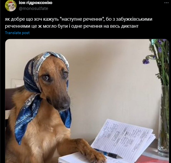 "Чому всі говорять про Оксану і брехунець?" Українці відреагували на радіодиктант-2024 та назвали перевагу Вишебаби над Гнатковським