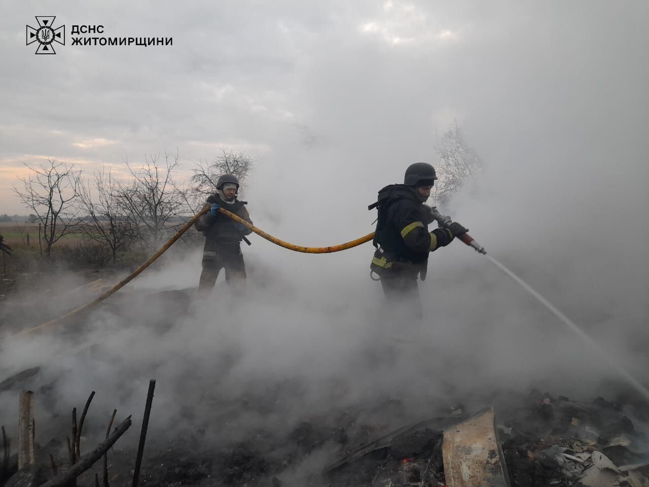 Над Украиной за ночь сбили 66 из 100 российских ударных дронов – Воздушные силы