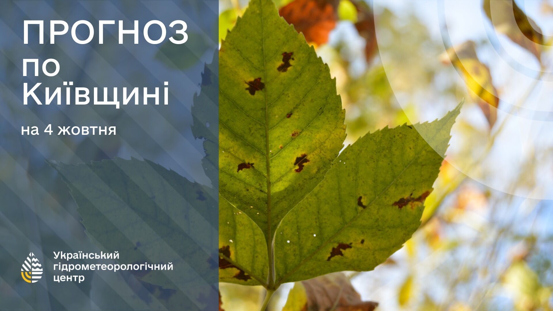 Погода у Київській області.