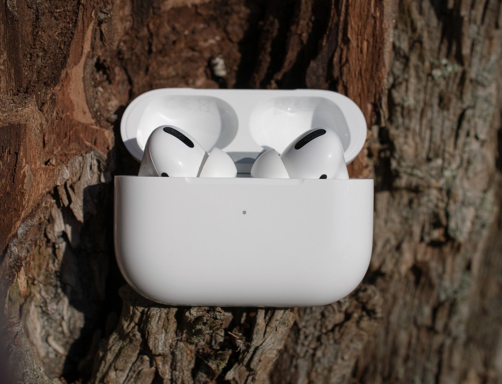 Дизайн зміниться: якими будуть AirPods Pro 3 і коли їх випустять