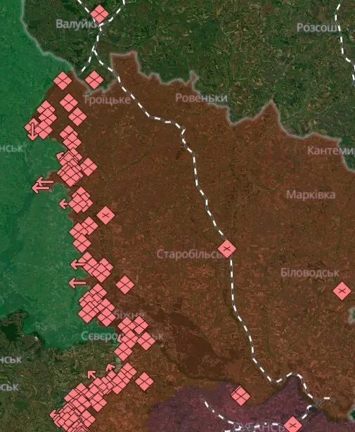 Сили безпілотних систем знищили понтонну переправу на Луганщині, через яку ворог постачав підкріплення та БК. Відео