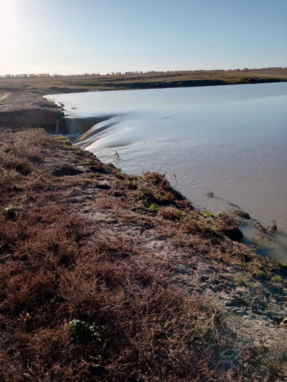 В Росії водою знесло дорогу та міст в Алтайському краї: фото та відео 
