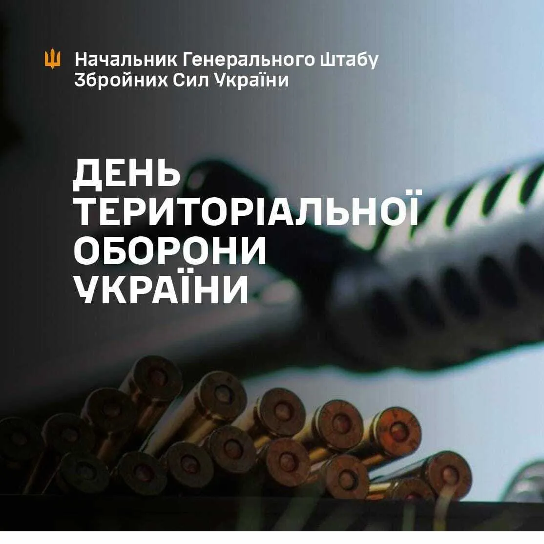 В Україні відзначають День Сил територіальної оборони: Зеленський, Умєров, Сирський і Баргилевич привітали військових. Відео
