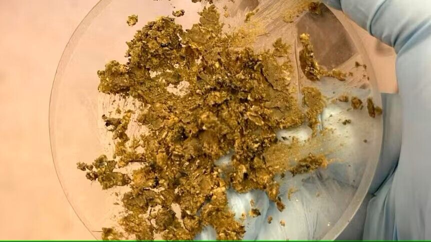 Хіміки з'ясували, що за смердючі кульки викинуло на пляжі в Австралії: краще до них не торкатися